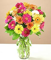  Aydın incir çiçek çiçek online çiçek siparişi  17 adet karisik gerbera