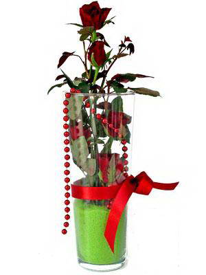  Aydın incir çiçek online çiçek gönderme sipariş  Cam yada mika içerisinde 9 adet kirmizi gül - sevdiklerinize özel 