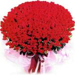  Aydın incir çiçek online çiçekçi , çiçek siparişi  1001 adet kirmizi gülden çiçek tanzimi