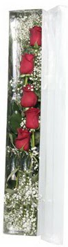  Aydın incir çiçek çiçek siparişi sitesi   5 adet gülden kutu güller