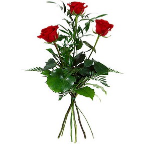  Aydın incir çiçek uluslararası çiçek gönderme  3 adet kırmızı gülden buket
