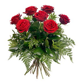  Aydın incir çiçek online çiçek gönderme sipariş  7 adet kırmızı gülden buket