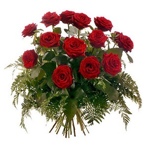  Aydın incir çiçek internetten çiçek satışı  15 adet kırmızı gülden buket
