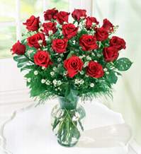  Aydın incir çiçek internetten çiçek satışı  9 adet mika yada vazoda kirmizi güller