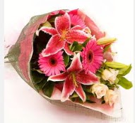 1 dal kazablanka ve mevsim çiçekleri  Aydın incir çiçek internetten çiçek siparişi 