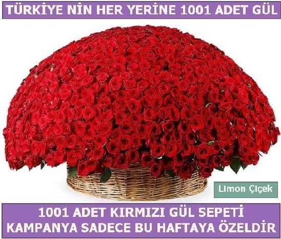 1001 Adet kırmızı gül Bu haftaya özel  Aydın incir çiçek incir çiçek İnternetten çiçek siparişi 