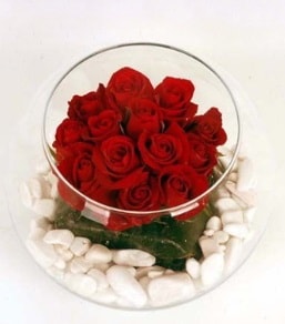 Cam fanusta 11 adet kırmızı gül  Aydın incir çiçek çiçek gönderme 
