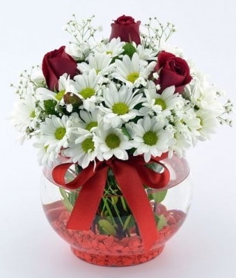 Fanusta 3 Gül ve Papatya  Aydın incir çiçek internetten çiçek satışı 