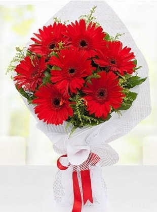 Kırmızı Gelbera Buketi  Aydın incir çiçek internetten çiçek siparişi 