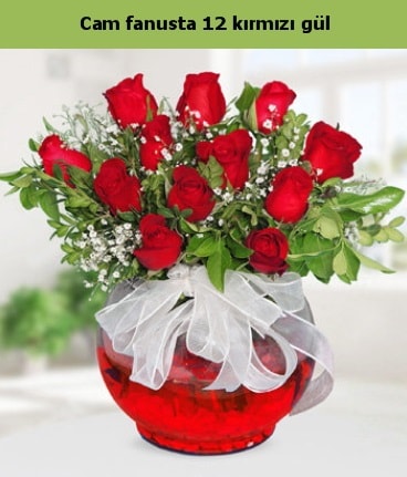 Cam içerisinde 12 adet kırmızı gül  Aydın incir çiçek internetten çiçek satışı 