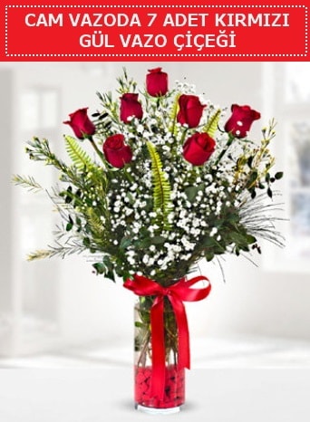 Cam vazoda 7 adet kırmızı gül çiçeği  Aydın incir çiçek çiçek gönderme sitemiz güvenlidir 